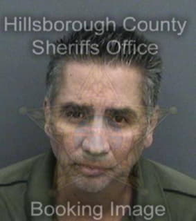 Chavez Gerardo - Hillsborough County, Florida 