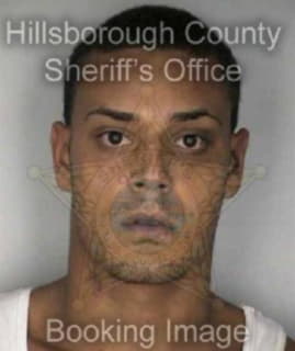 Ruiz Hector - Hillsborough County, Florida 