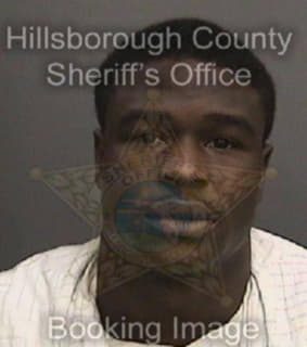 Joyner David - Hillsborough County, Florida 