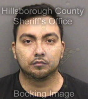 Flores Mario - Hillsborough County, Florida 