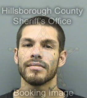 Arriaga Arturo - Hillsborough County, Florida 