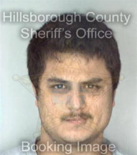 Adkins Christopher - Hillsborough County, Florida 