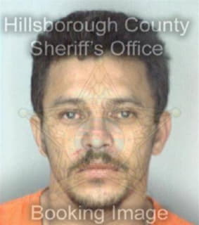 Ortiz Jose - Hillsborough County, Florida 