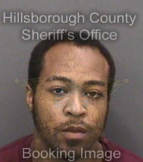 Christopher Laron - Hillsborough County, Florida 