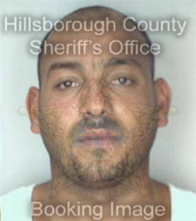 Perez Reynaldo - Hillsborough County, Florida 