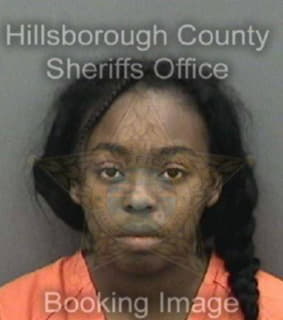 Davis Tajsea - Hillsborough County, Florida 