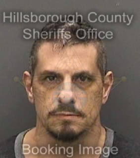 Scerbo David - Hillsborough County, Florida 