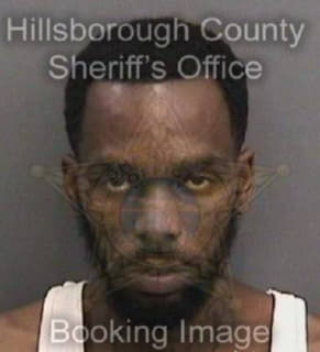 Willis Deondre - Hillsborough County, Florida 