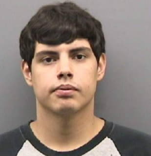 Perez Mark - Hillsborough County, Florida 