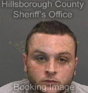 Mendez Christopher - Hillsborough County, Florida 