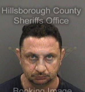 Alhomsi Ayman - Hillsborough County, Florida 