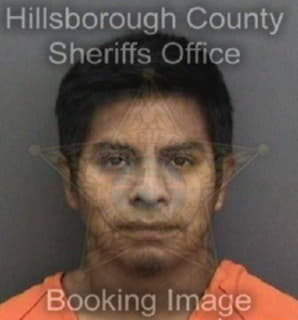 Ramirez-Yoc Henry - Hillsborough County, Florida 