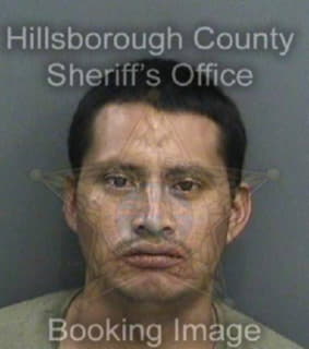 Perezlopez Heriberto - Hillsborough County, Florida 