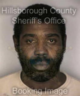 Williams Johnathan - Hillsborough County, Florida 