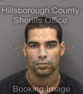 Ruiz Luis - Hillsborough County, Florida 