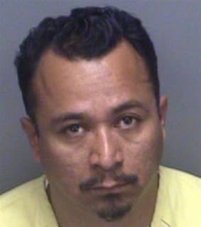 Corona Raul - Pinellas County, Florida 