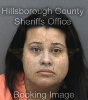 Martinez Adlinelena - Hillsborough County, Florida 