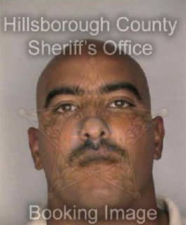 Davila Luis - Hillsborough County, Florida 