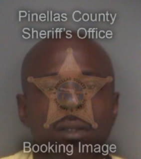 Johnson Timothy - Pinellas County, Florida 