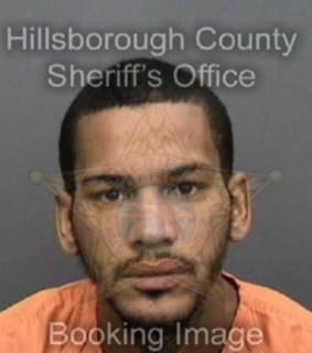 Loyola Guillermo - Hillsborough County, Florida 