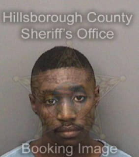 Peterson Johntrel - Hillsborough County, Florida 