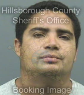 Andinoherandez Jose - Hillsborough County, Florida 