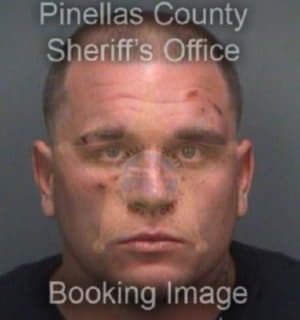 Melton Matthew - Pinellas County, Florida 