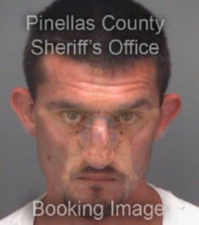 Klink Michael - Pinellas County, Florida 