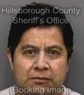 Martinez Noe - Hillsborough County, Florida 