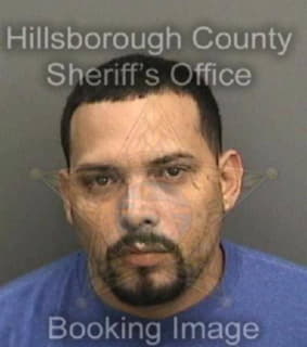 Lopez Wilfredo - Hillsborough County, Florida 