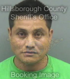 Castro Nicholas - Hillsborough County, Florida 