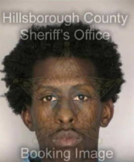 Pinkney William - Hillsborough County, Florida 