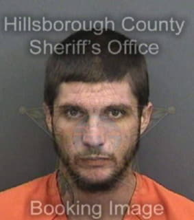 Mcgee William - Hillsborough County, Florida 