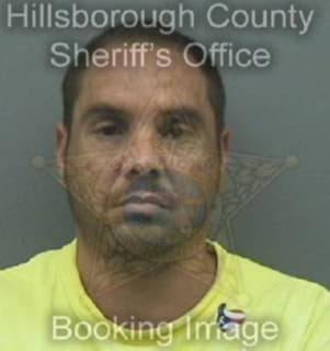 Perezrivera Daniel - Hillsborough County, Florida 