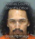 Hernandez Herman - Pinellas County, Florida 