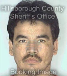 Ruiz Jesus - Hillsborough County, Florida 