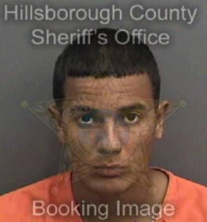 Martinez John - Hillsborough County, Florida 