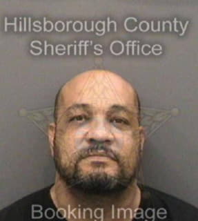 Melendezrivera Juan - Hillsborough County, Florida 