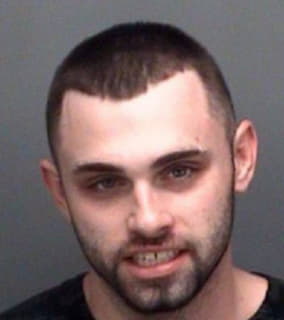 Mendes Matthew - Pinellas County, Florida 