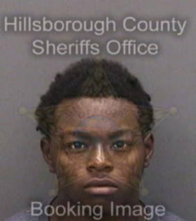 Johnson Jarvis - Hillsborough County, Florida 