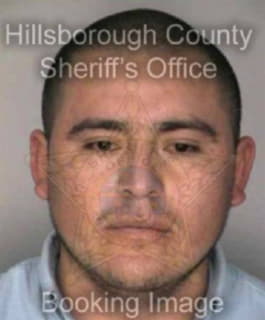 Lopez Martin - Hillsborough County, Florida 