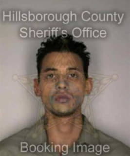 Martinez Randy - Hillsborough County, Florida 