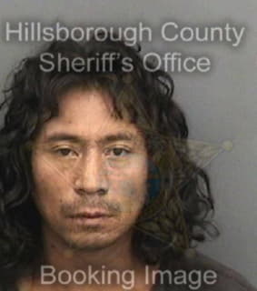 Rojas Carlos - Hillsborough County, Florida 