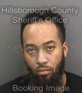 Williams Leroy - Hillsborough County, Florida 