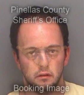 Basham Seth - Pinellas County, Florida 