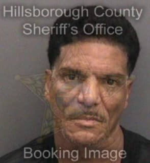 Rodriguezquinones Carlos - Hillsborough County, Florida 