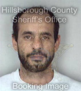 Martinez Enrique - Hillsborough County, Florida 