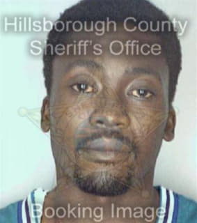 Johnson Michael - Hillsborough County, Florida 