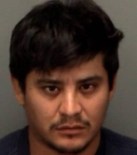 Moreno Arturo - Pinellas County, Florida 