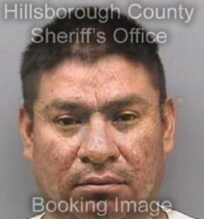 Flores Demetrio - Hillsborough County, Florida 